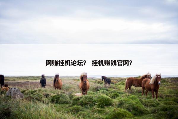网赚挂机论坛？ 挂机赚钱官网？
