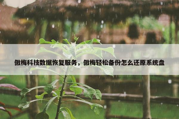 傲梅科技数据恢复服务，傲梅轻松备份怎么还原系统盘