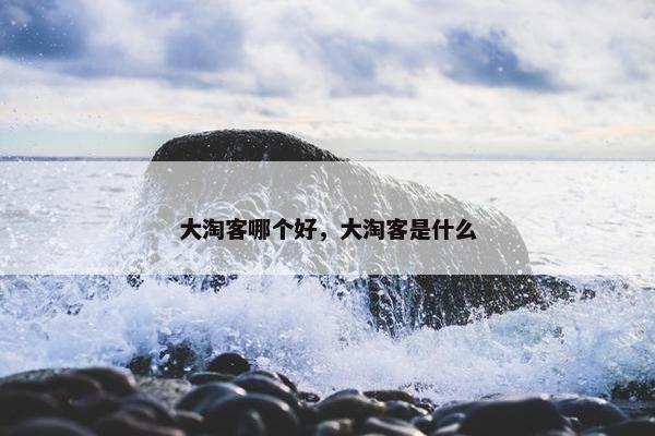 大淘客哪个好，大淘客是什么
