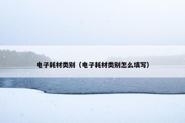 电子耗材类别（电子耗材类别怎么填写）