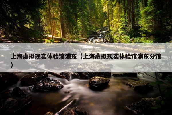 上海虚拟现实体验馆浦东（上海虚拟现实体验馆浦东分馆）