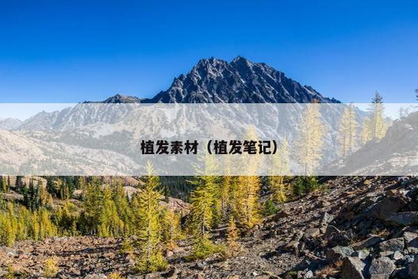 植发素材（植发笔记）