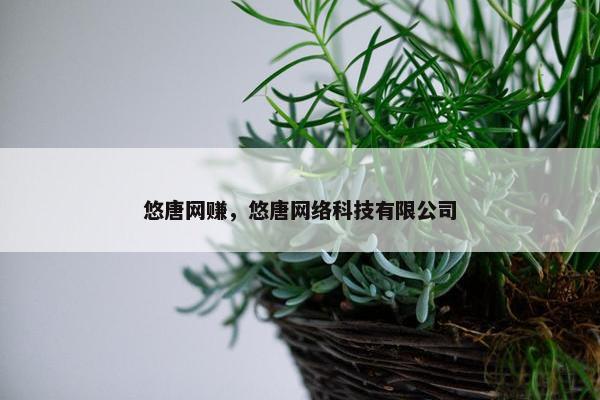 悠唐网赚，悠唐网络科技有限公司