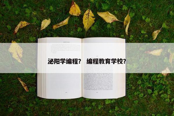 泌阳学编程？ 编程教育学校？