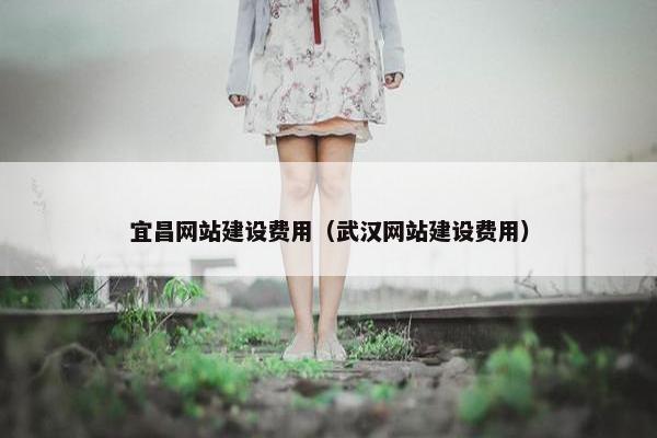 宜昌网站建设费用（武汉网站建设费用）