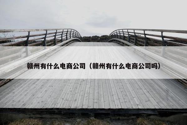 赣州有什么电商公司（赣州有什么电商公司吗）