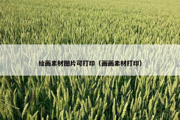绘画素材图片可打印（画画素材打印）