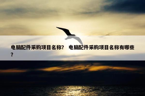 电脑配件采购项目名称？ 电脑配件采购项目名称有哪些？