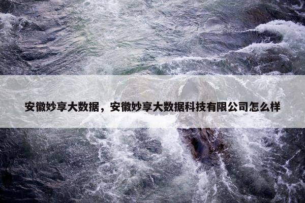 安徽妙享大数据，安徽妙享大数据科技有限公司怎么样