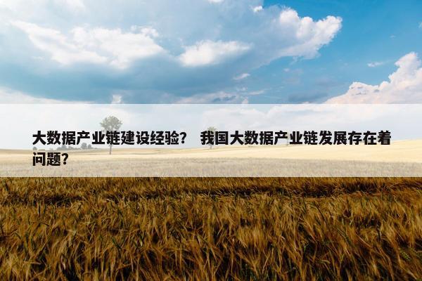 大数据产业链建设经验？ 我国大数据产业链发展存在着问题？