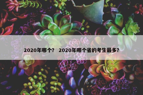 2020年哪个？ 2020年哪个省的考生最多？