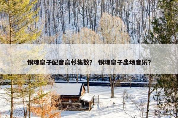 银魂皇子配音高杉集数？ 银魂皇子出场音乐？