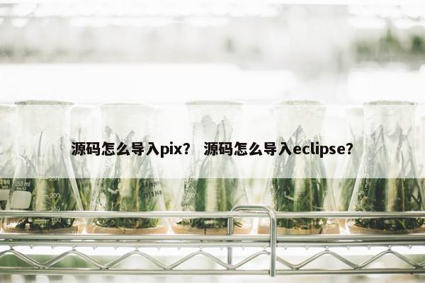 源码怎么导入pix？ 源码怎么导入eclipse？