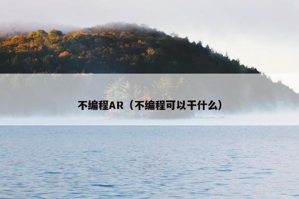 不编程AR（不编程可以干什么）