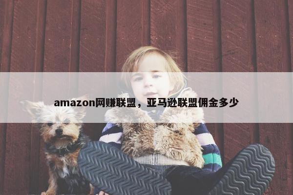 amazon网赚联盟，亚马逊联盟佣金多少