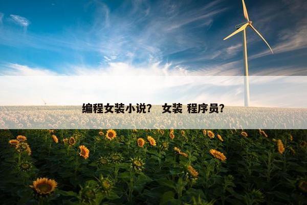 编程女装小说？ 女装 程序员？