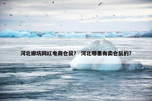 河北廊坊网红电商仓鼠？ 河北哪里有卖仓鼠的？