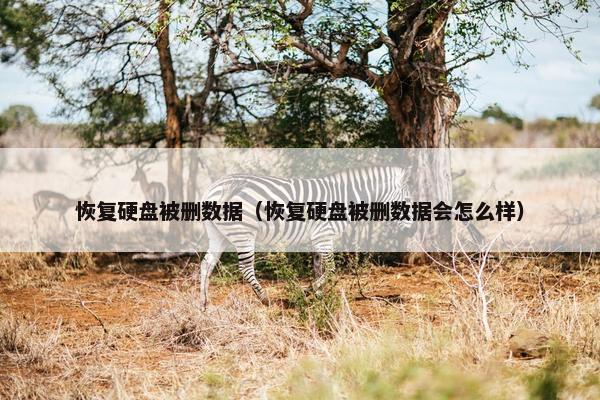 恢复硬盘被删数据（恢复硬盘被删数据会怎么样）