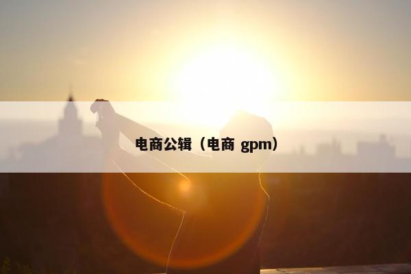 电商公辑（电商 gpm）