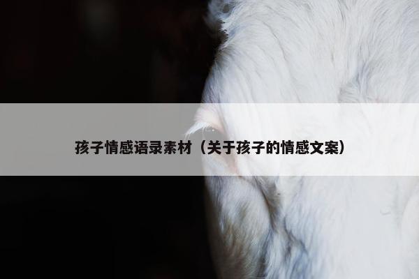 孩子情感语录素材（关于孩子的情感文案）