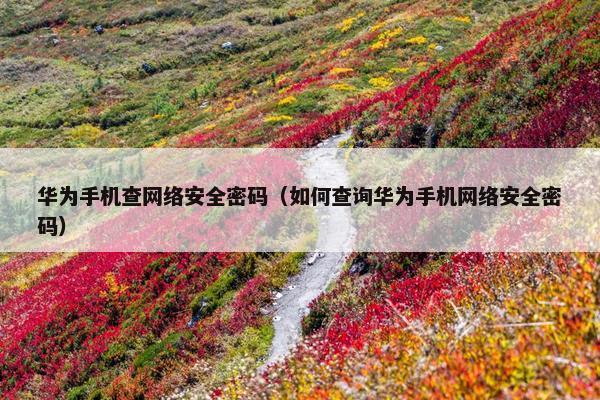 华为手机查网络安全密码（如何查询华为手机网络安全密码）