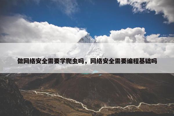 做网络安全需要学爬虫吗，网络安全需要编程基础吗
