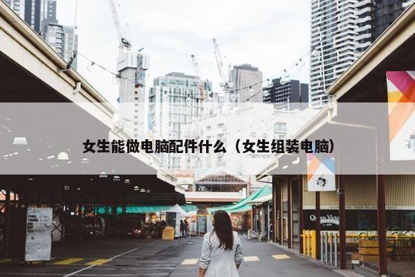 女生能做电脑配件什么（女生组装电脑）