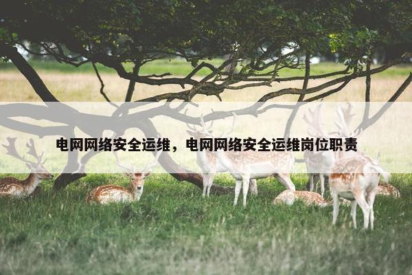 电网网络安全运维，电网网络安全运维岗位职责