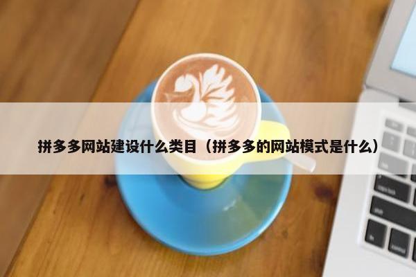 拼多多网站建设什么类目（拼多多的网站模式是什么）