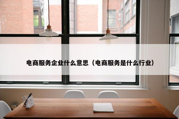 电商服务企业什么意思（电商服务是什么行业）