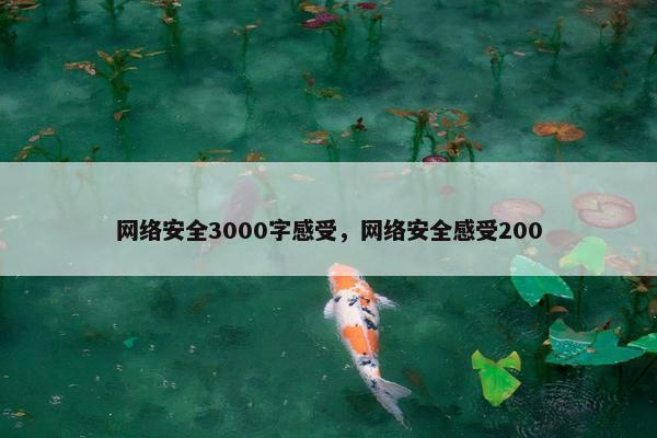 网络安全3000字感受，网络安全感受200