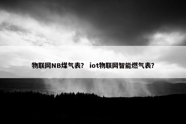 物联网NB煤气表？ iot物联网智能燃气表？