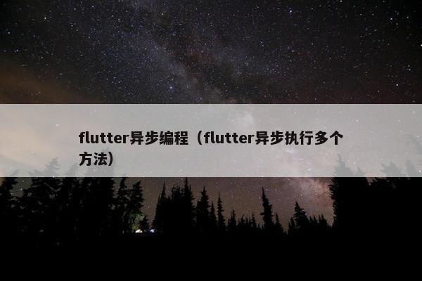 flutter异步编程（flutter异步执行多个方法）
