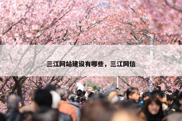 三江网站建设有哪些，三江网信
