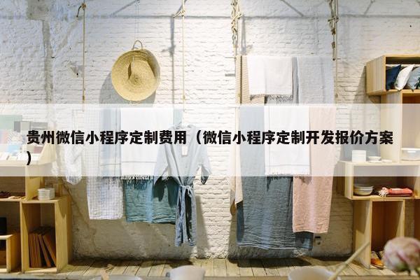 贵州微信小程序定制费用（微信小程序定制开发报价方案）