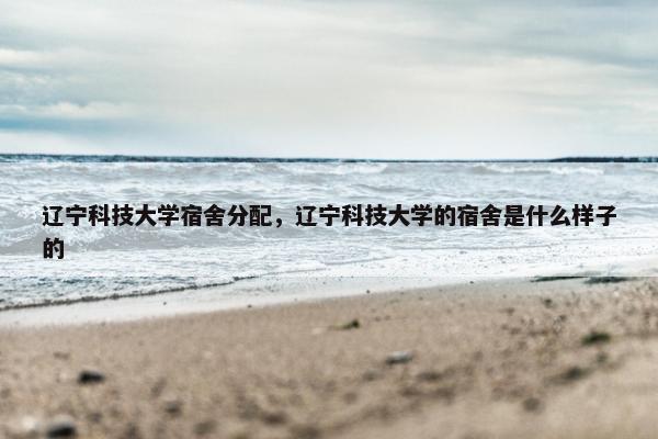 辽宁科技大学宿舍分配，辽宁科技大学的宿舍是什么样子的