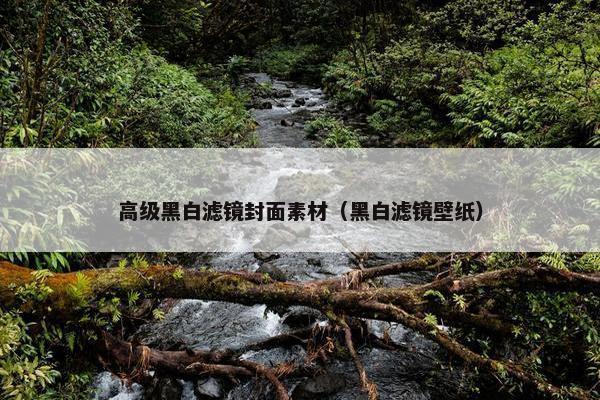 高级黑白滤镜封面素材（黑白滤镜壁纸）