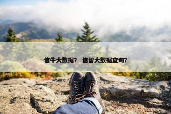 信牛大数据？ 信智大数据查询？
