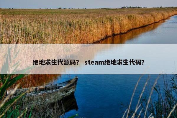 绝地求生代源码？ steam绝地求生代码？
