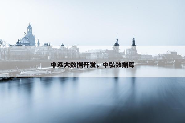 中泓大数据开发，中弘数据库