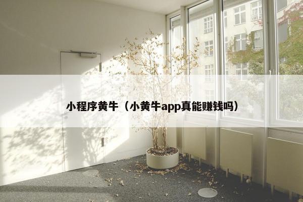 小程序黄牛（小黄牛app真能赚钱吗）