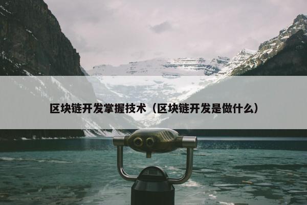 区块链开发掌握技术（区块链开发是做什么）