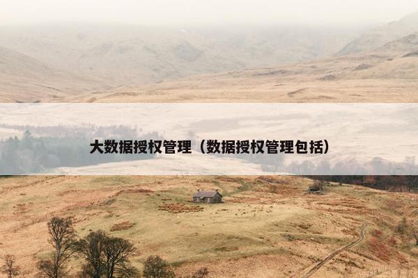 大数据授权管理（数据授权管理包括）