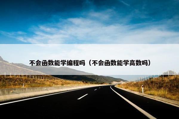 不会函数能学编程吗（不会函数能学高数吗）