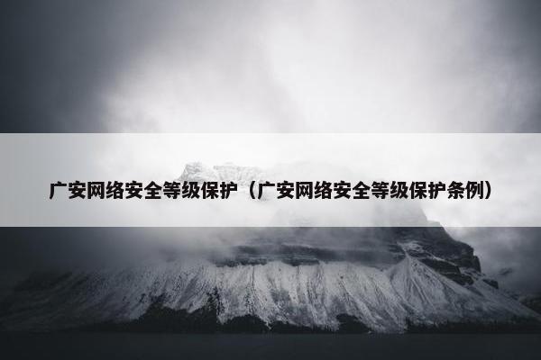 广安网络安全等级保护（广安网络安全等级保护条例）