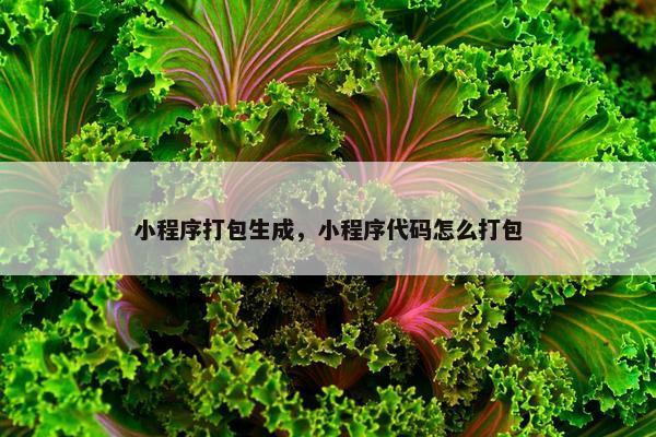 小程序打包生成，小程序代码怎么打包