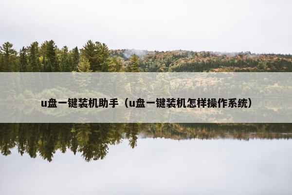 u盘一键装机助手（u盘一键装机怎样操作系统）