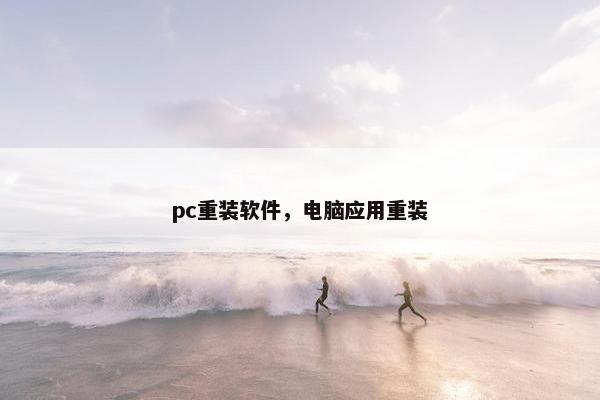 pc重装软件，电脑应用重装