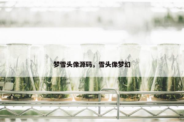 梦雪头像源码，雪头像梦幻