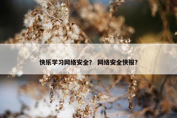 快乐学习网络安全？ 网络安全快报？
